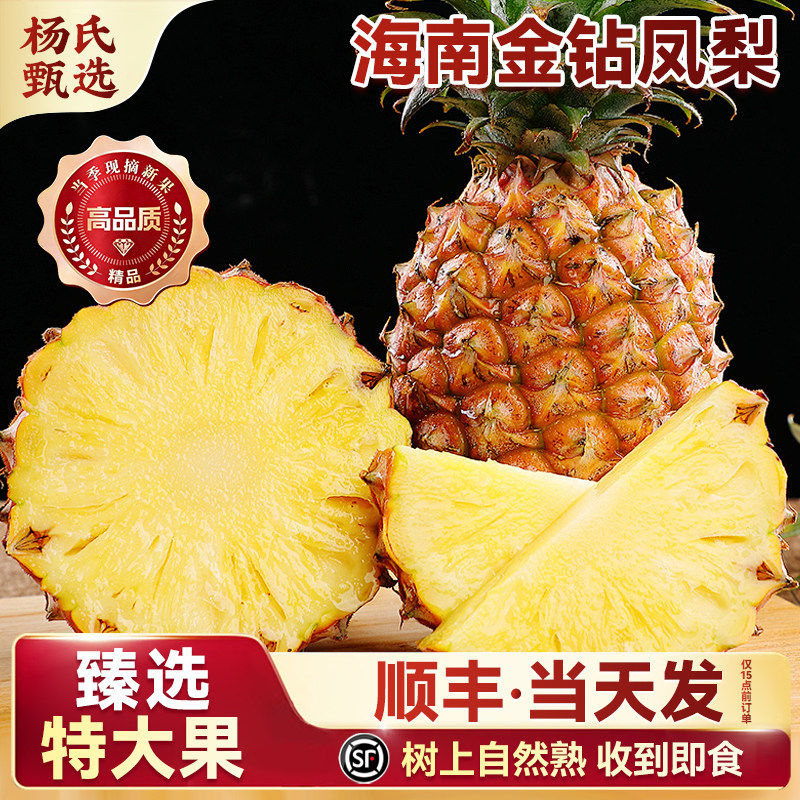 正宗海南金钻凤梨新鲜水