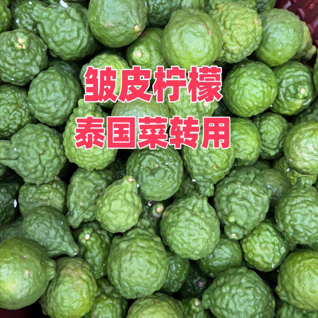 新鲜粗皮柠檬丑果皱毛里