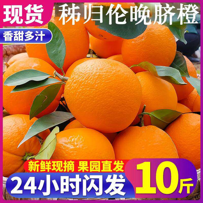 橙子新鲜9斤大果伦晚脐橙湖北宜昌甜脐橙孕妇现摘鲜当季整箱水果