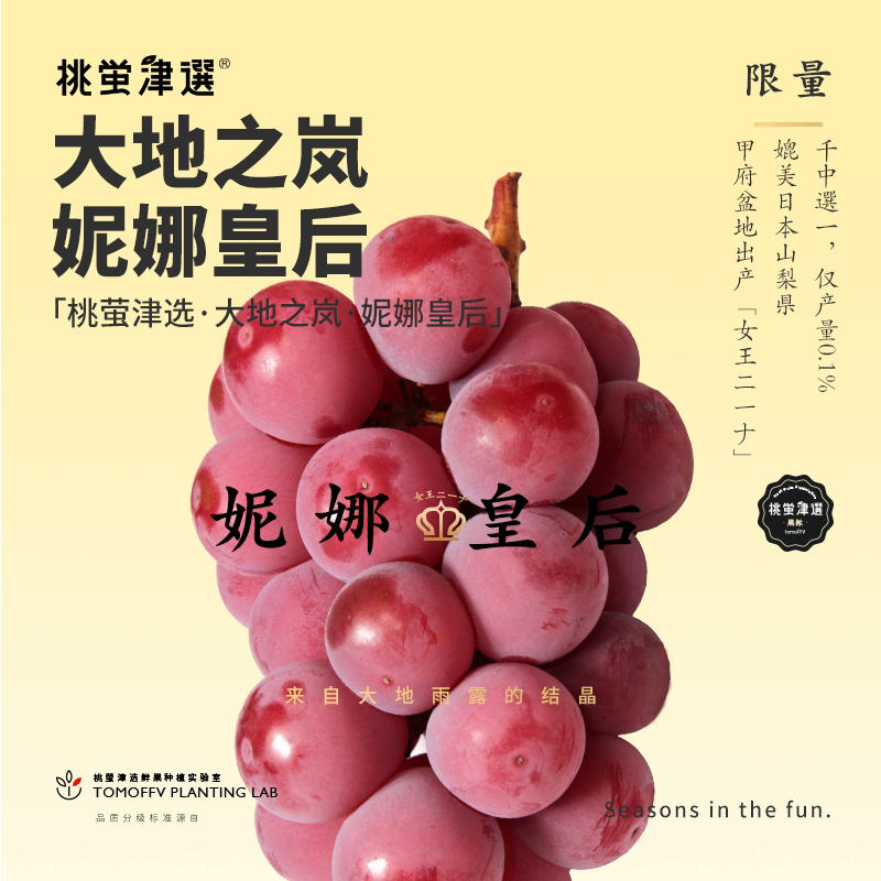 稀大地之岚妮娜皇后葡萄 大理宾川产 整串礼盒装SF