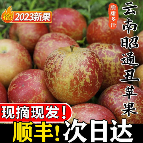 云南昭通市丑苹果正宗冰