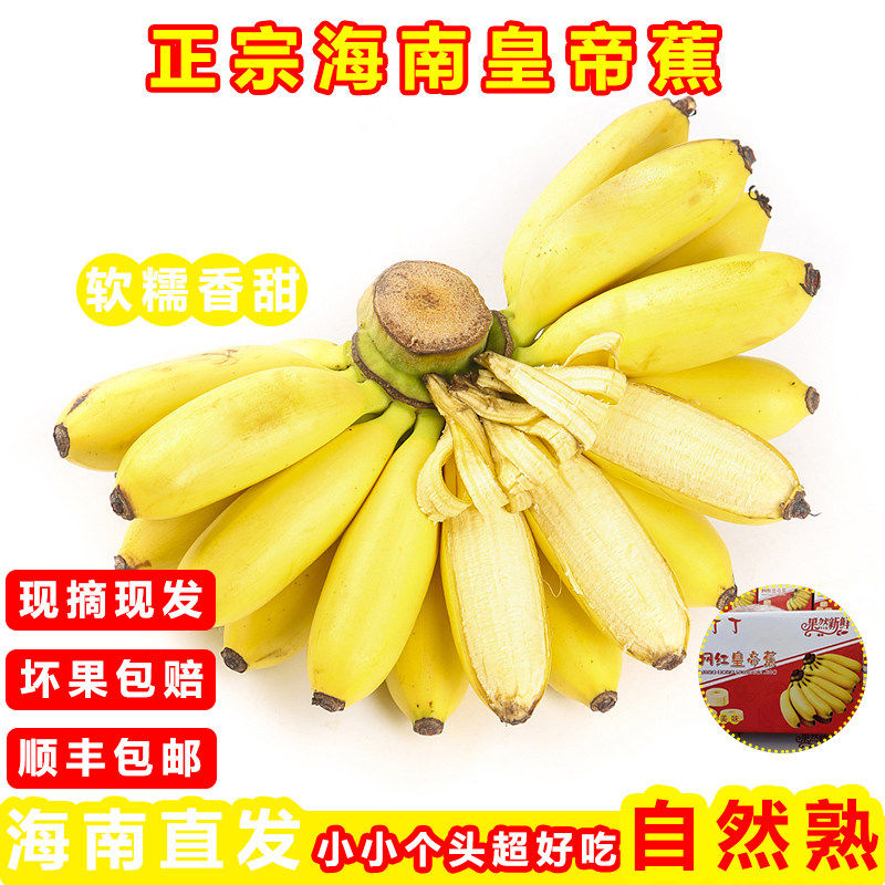 海南皇帝蕉新鲜小香蕉进