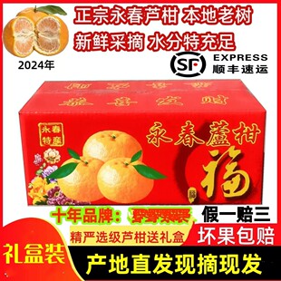 顺丰礼盒装 正宗福建长泰芦柑10斤新鲜椪柑橘当季水果桔整箱