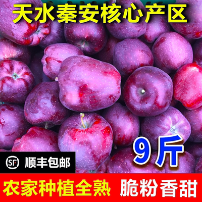 正宗甘肃天水秦安花牛苹