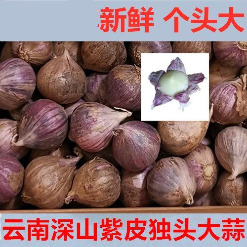 2025年 新鲜独头大蒜头   无农药紫皮独头大蒜 2斤5斤10斤