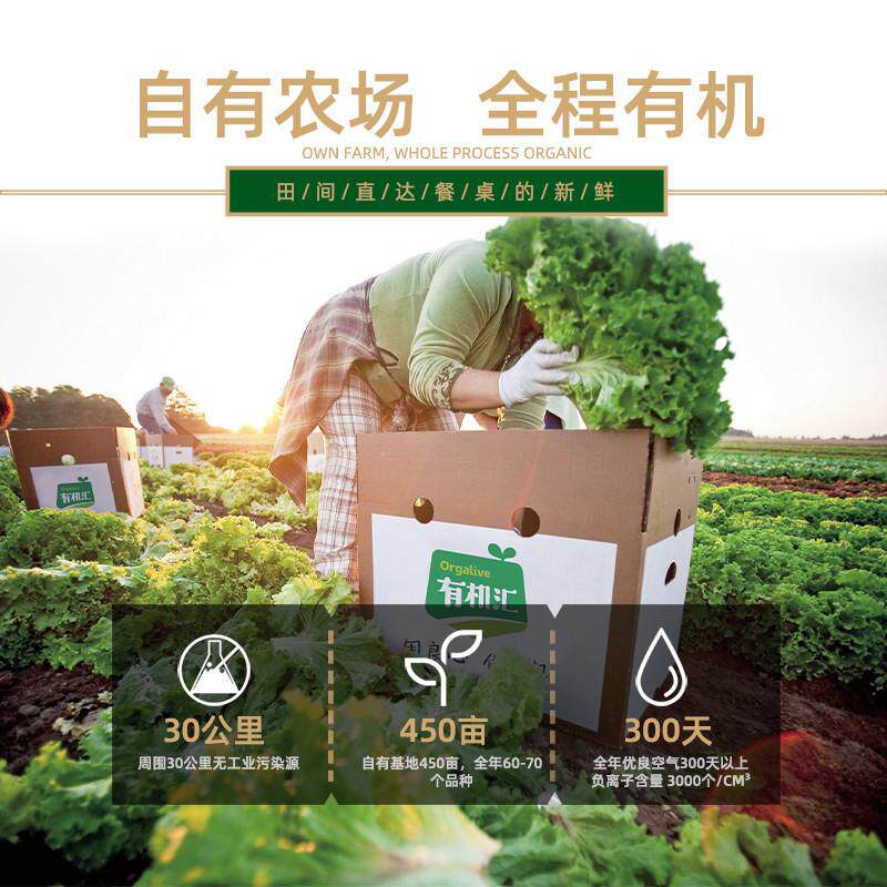 有机汇有机甜菜根新鲜5斤有机蔬菜红菜头甜菜头榨汁食疗打汁现挖