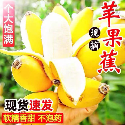 正宗广西苹果蕉当季新鲜
