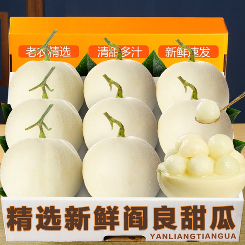 精选阎良甜瓜当季时令水
