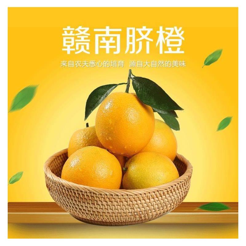 娜家果园正宗赣南脐橙甜橙子一级精品果新鲜水果10斤