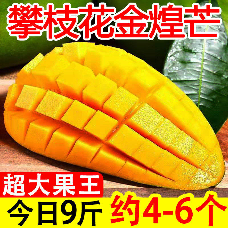 正宗四川攀枝花金煌芒果