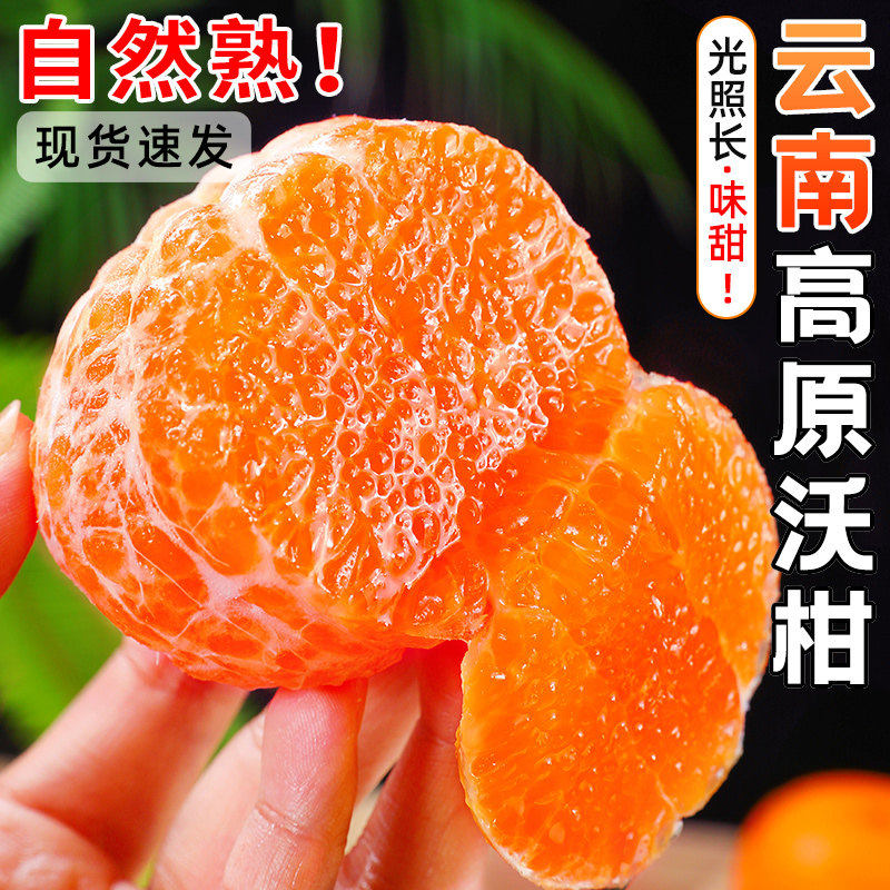 正宗云南高原沃柑新鲜水