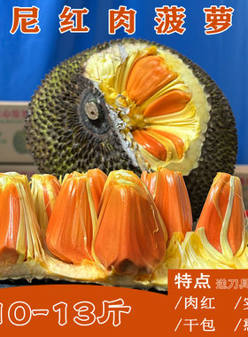 印尼红肉菠萝蜜一整个干
