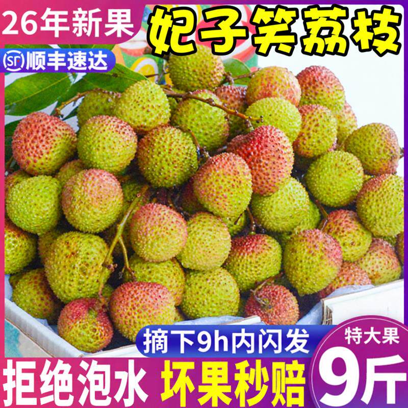 顺丰正宗妃子笑荔枝9斤精品大果新鲜水果海南现摘当季整箱包邮5