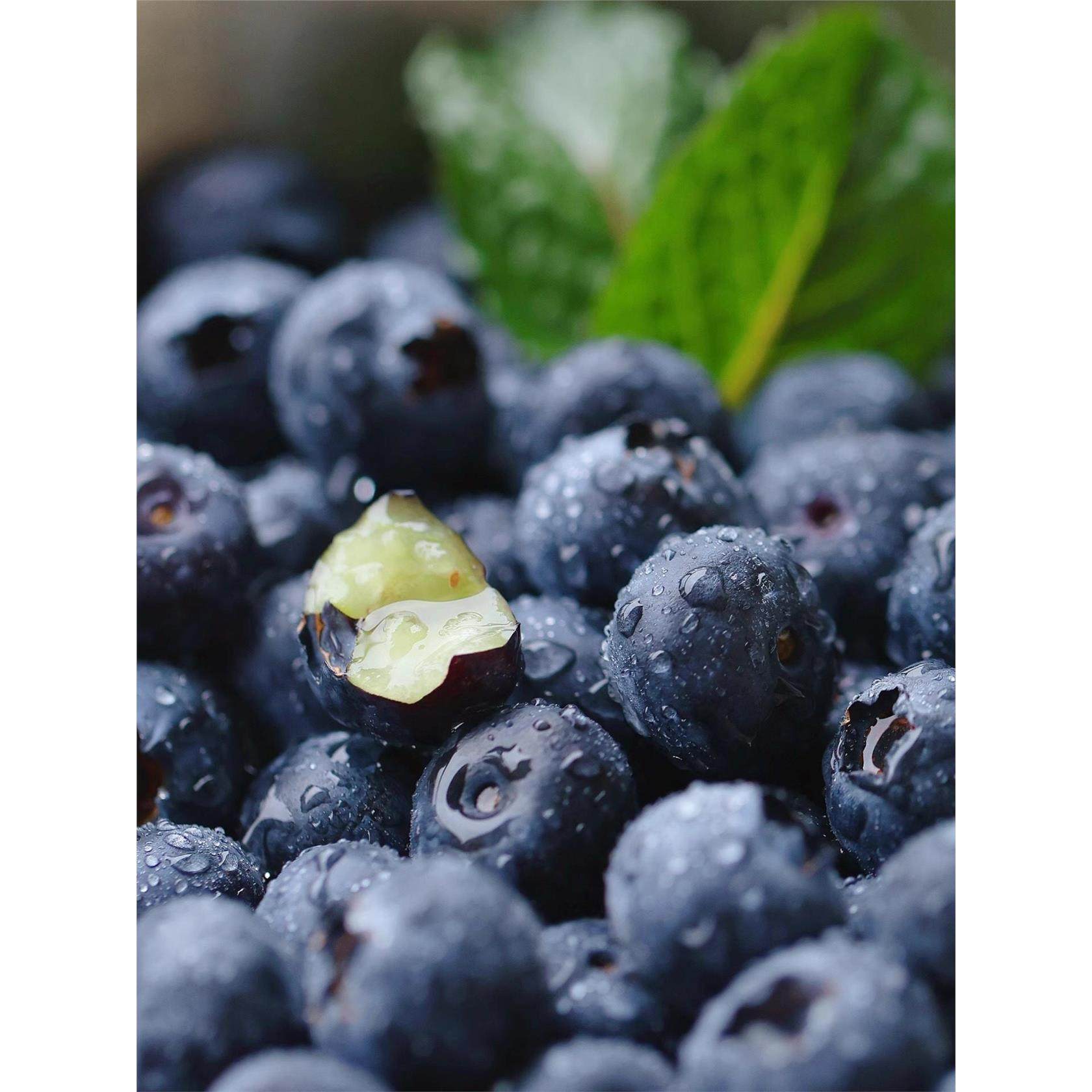 蛋婶儿云南花香蓝莓抚仙湖现摘现发当季新鲜水果L25高端大果脆甜,包装,水果包装,淘宝优惠券,粉丝福利购,淘宝优惠卷