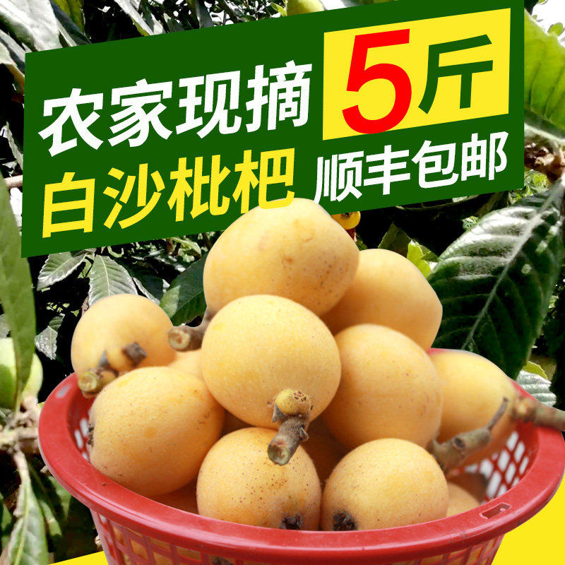 顺丰包邮塘栖枇杷白沙枇杷新鲜白玉枇杷塘西枇杷非东山礼盒装现摘