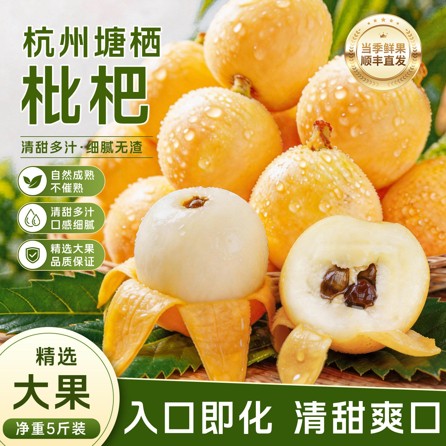 正宗塘栖枇杷鲜果白沙枇杷新鲜水果白玉枇杷孕妇当季水果甜枇杷