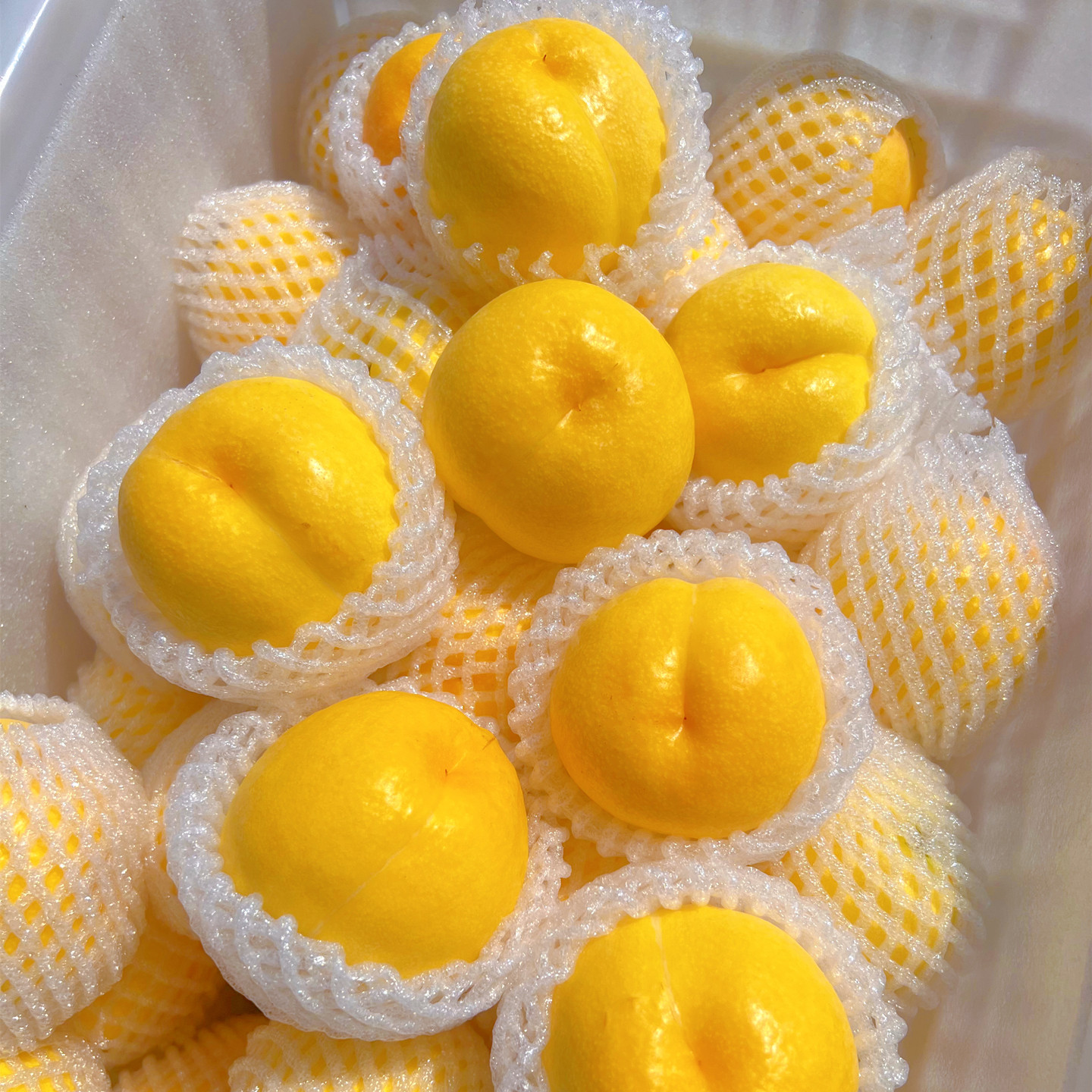 现摘桃子新鲜黄桃山东蒙