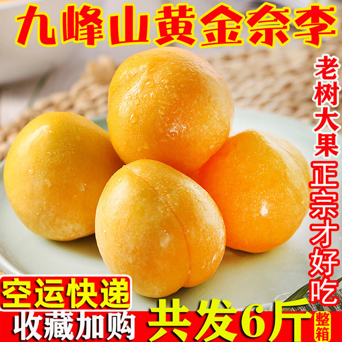 韶关乐昌九峰山黄金奈李