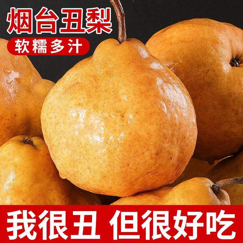 山东中华丑梨软糯太婆梨啤梨应季水果梨子现摘新鲜粉面莱阳梨,包装,水果包装,淘宝优惠券,粉丝福利购,淘宝优惠卷