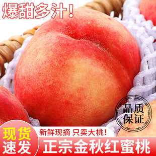 正宗金秋红蜜桃10斤当季水果山东冬桃蜜桃脆甜毛桃子新鲜大果包邮