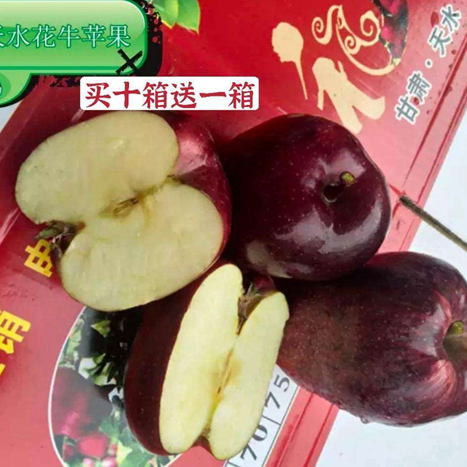 甘肃天水5斤高山花牛粉面脆甜红蛇苹果老人孕妇宝宝刮泥9到10个,包装,水果包装,淘宝优惠券,粉丝福利购,淘宝优惠卷