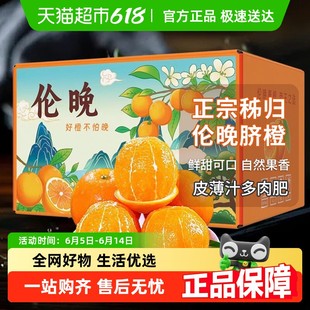 正宗湖北秭归伦晚脐橙当季新鲜水果大果春橙冰糖果冻橙包邮