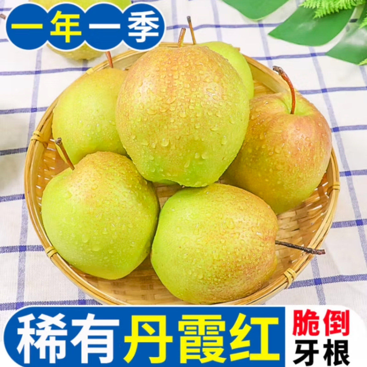 山西运城丹霞红梨新鲜丹霞红酥梨运城丹霞红梨孕妇水果包邮