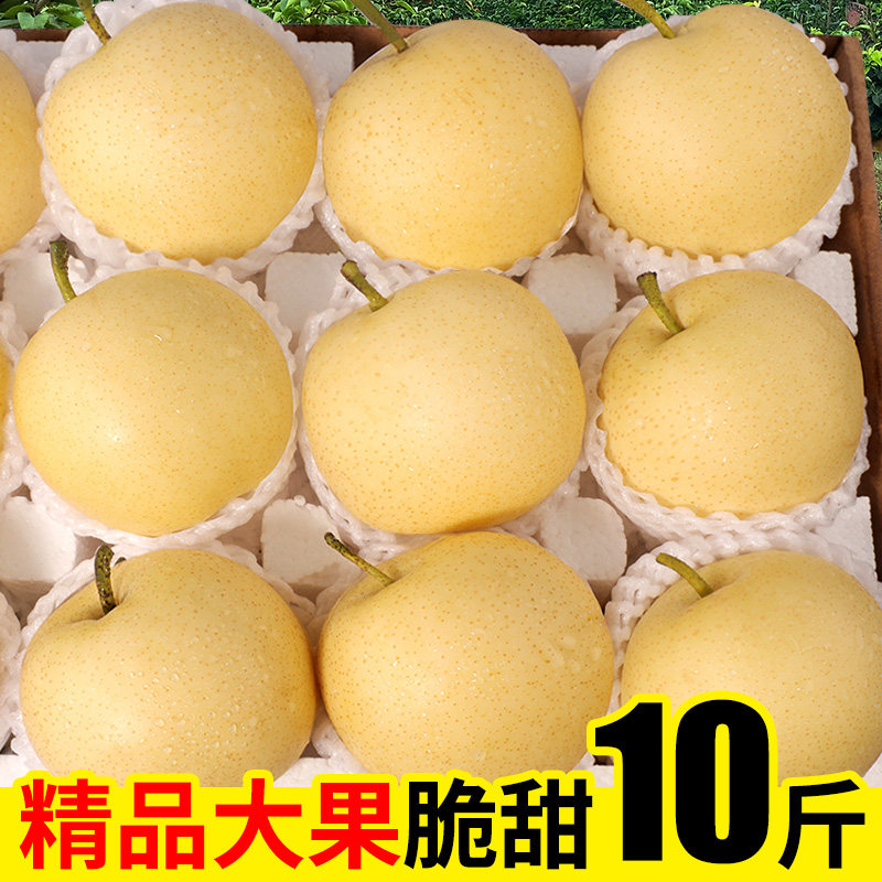 新鲜梨子河北皇冠梨10斤