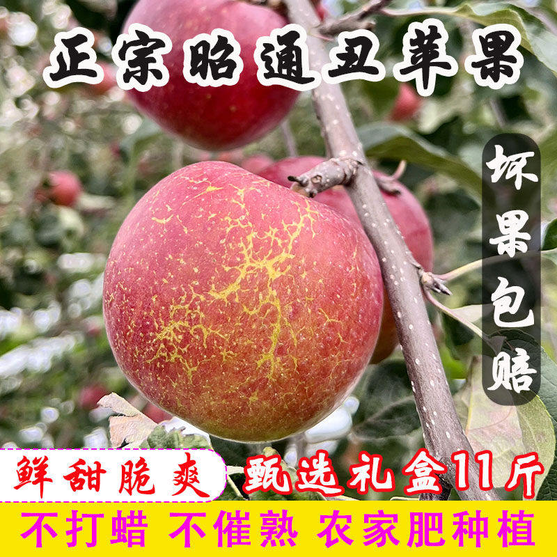 [11斤礼盒装]云南昭通冰糖心丑苹果当季新鲜水果苹果脆甜红富士果,包装,水果包装,淘宝优惠券,粉丝福利购,淘宝优惠卷