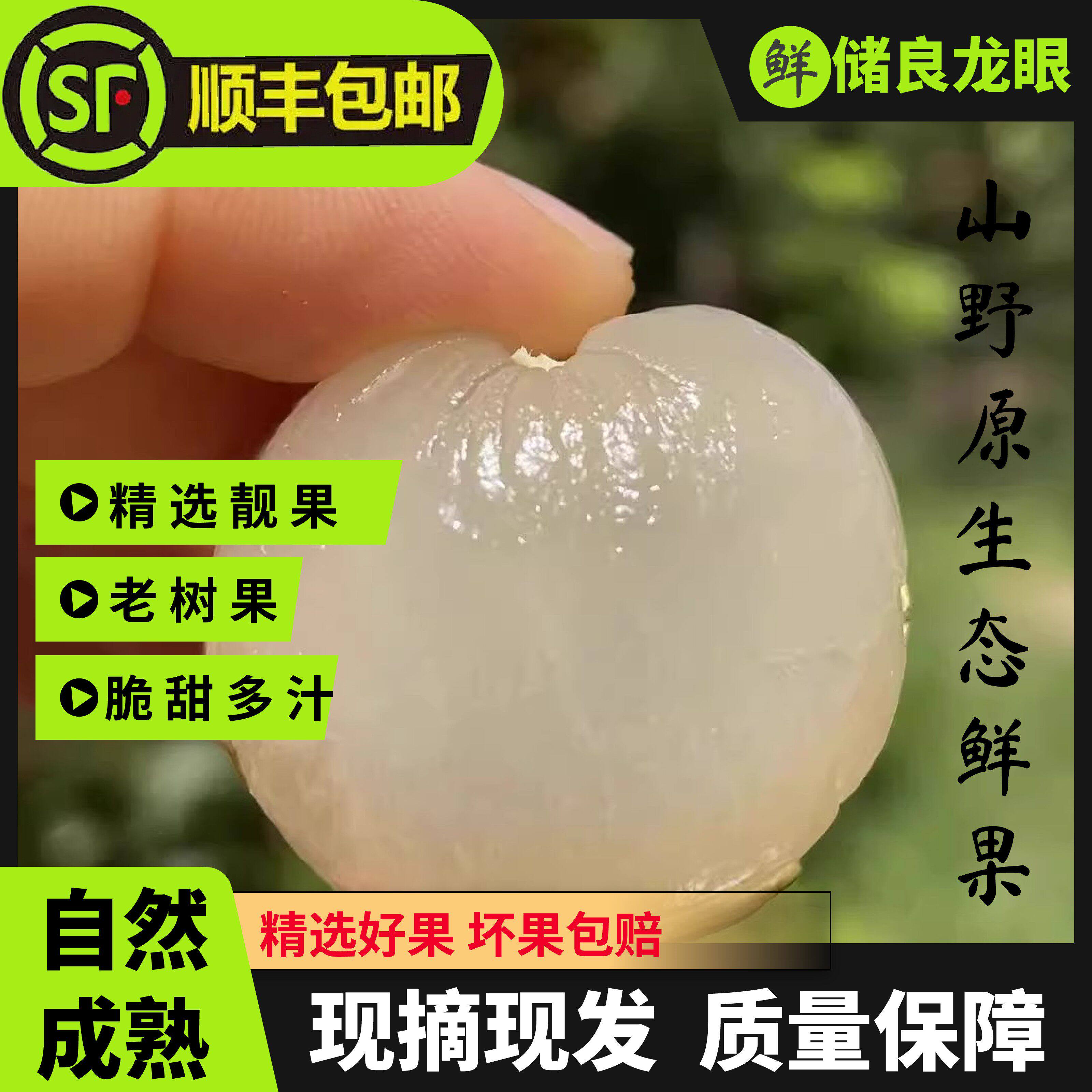【储良龙眼】正宗茂名新