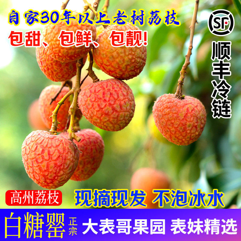 [大表哥]正宗高州荔枝老树白糖罂妃子都笑新鲜采摘水果桂糯米味糍