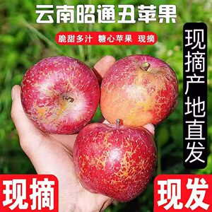 正宗云南昭通冰糖心丑苹