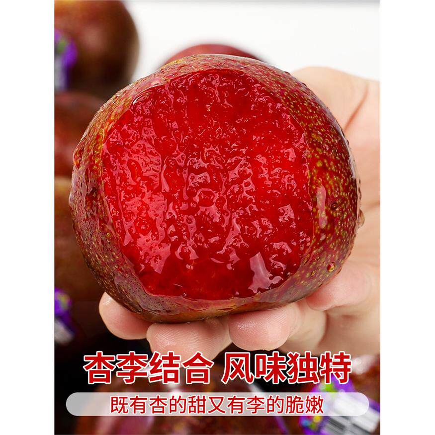 智利凤凰李进口恐龙蛋5斤
