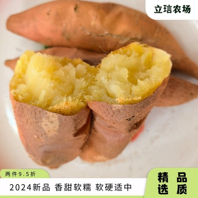 绥德县崔家湾镇红薯新鲜农家自种地瓜板栗番薯山芋沙地蜜薯