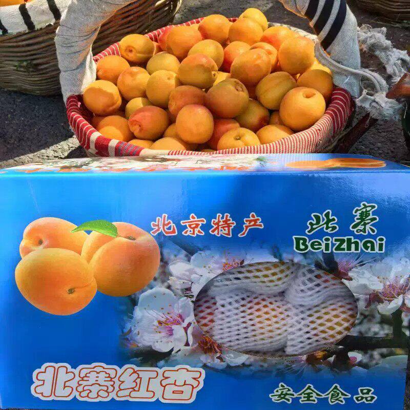 新鲜现摘正宗北京平谷北
