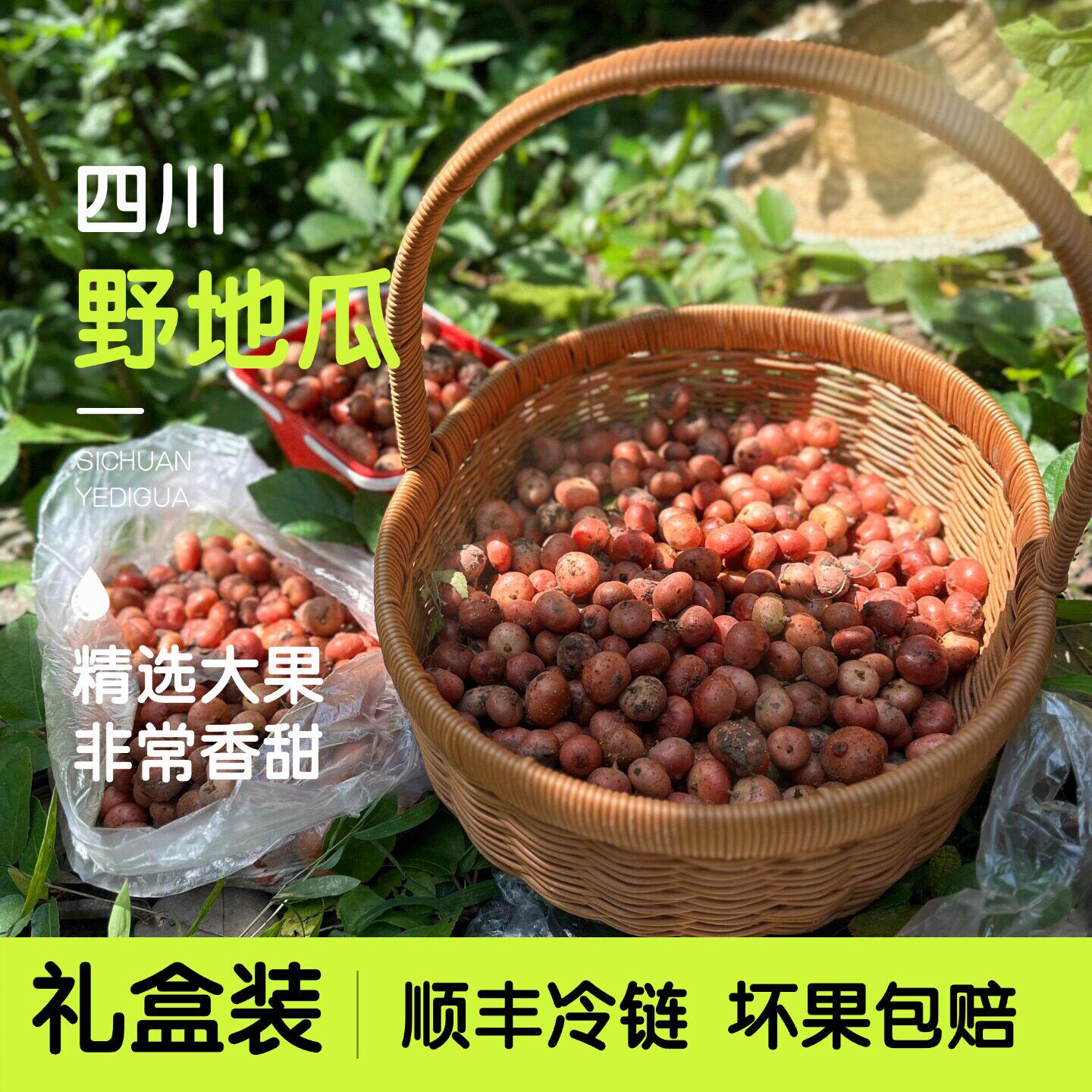 野地瓜四川野生土新鲜地