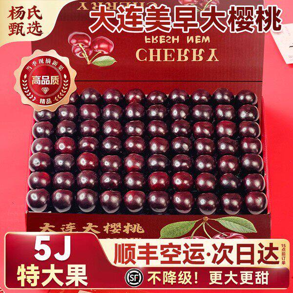 大连美早大樱桃5斤5j礼盒