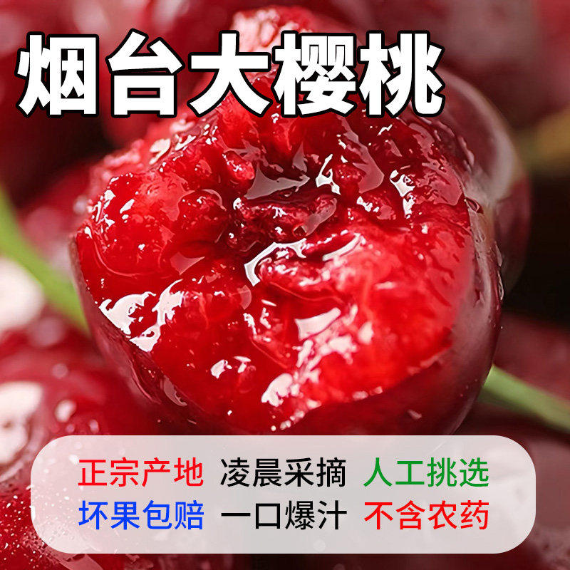 山东烟台大樱桃美早国产