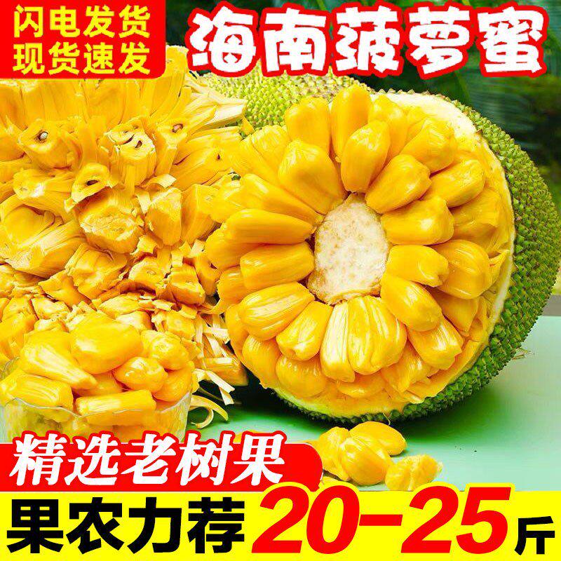海南三亚黄肉菠萝蜜一整