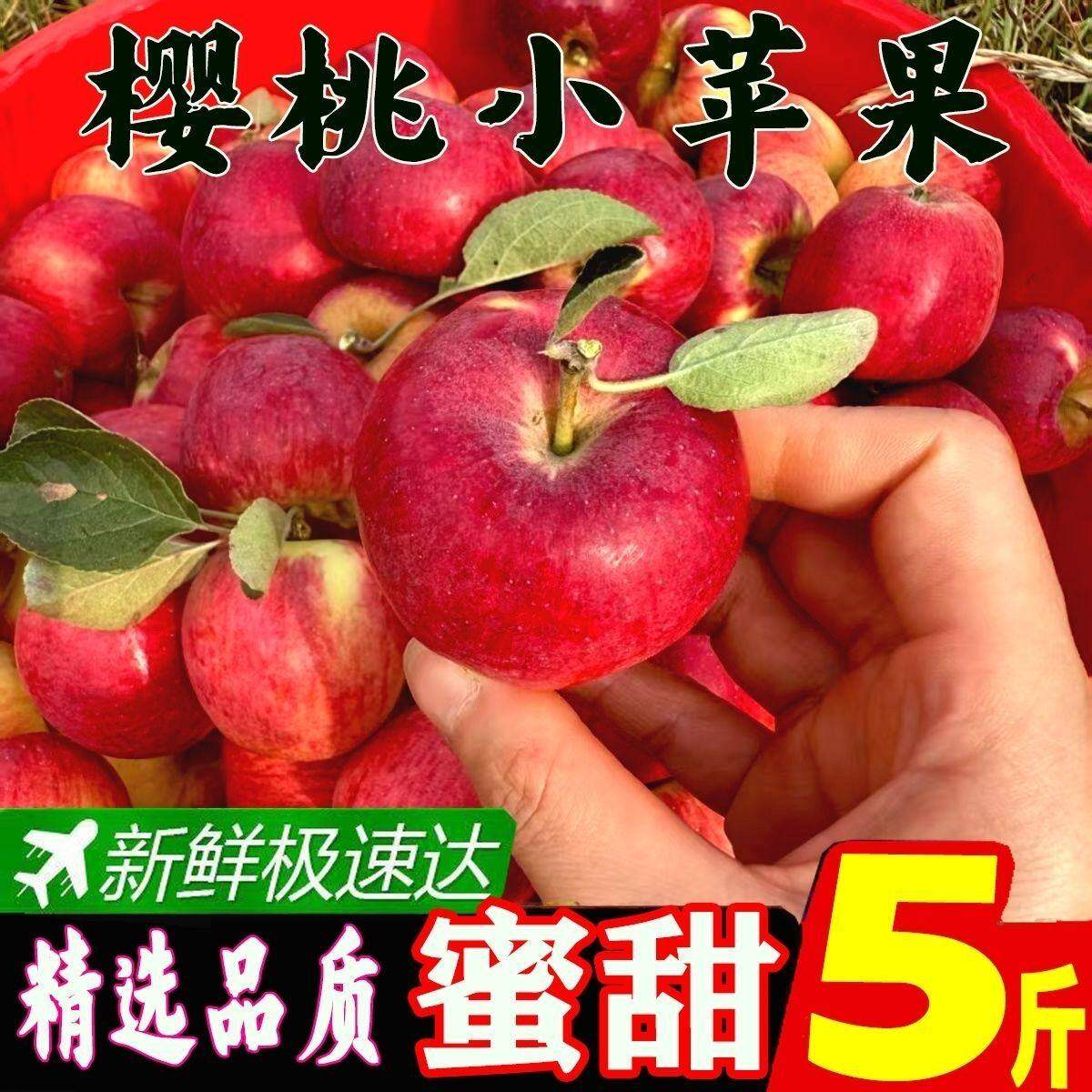 正宗樱桃小苹果阿克苏冰