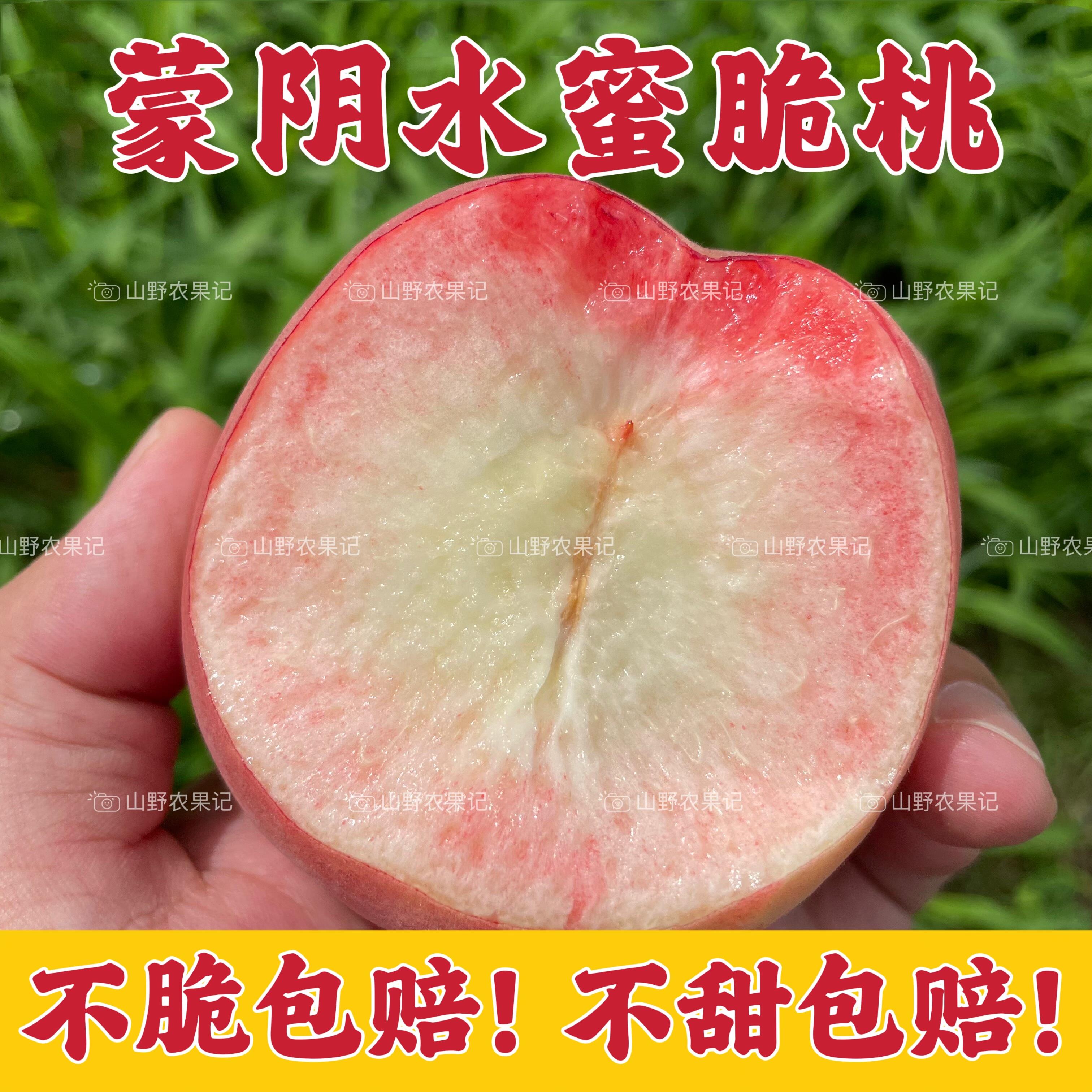 山东蒙阴正宗脆桃红不软