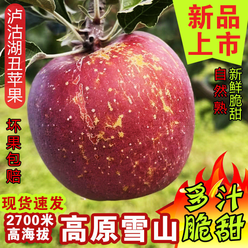 云南高原生态糖心苹果水果新鲜当季泸沽湖宁蒗丑苹果非昭通红富士,包装,水果包装,淘宝优惠券,粉丝福利购,淘宝优惠卷