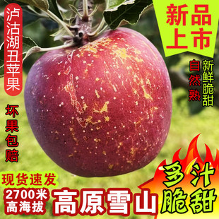 云南高原生态糖心苹果水果新鲜当季泸沽湖宁蒗丑苹果非昭通红富士