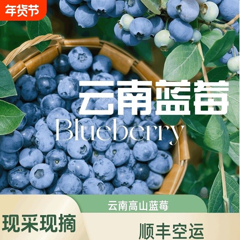 顺丰空运云南花果香高山蓝莓礼盒装新鲜果应当季水果脆甜大果现摘,包装,水果包装,淘宝优惠券,粉丝福利购,淘宝优惠卷