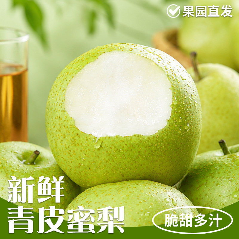 砀山青皮蜜梨皇冠梨薄皮