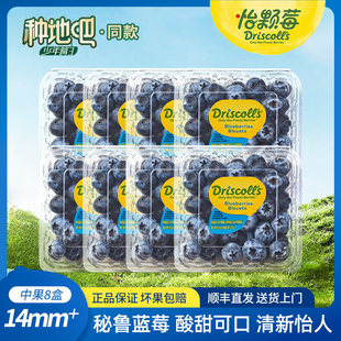 Driscoll's怡颗莓 秘鲁蓝莓 新鲜应季水果 中果125g 顺丰酸甜多汁