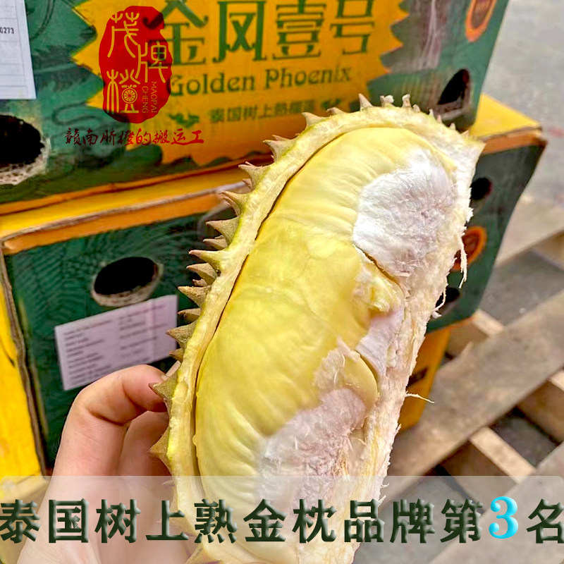 金凤一号壹号榴莲金枕绿