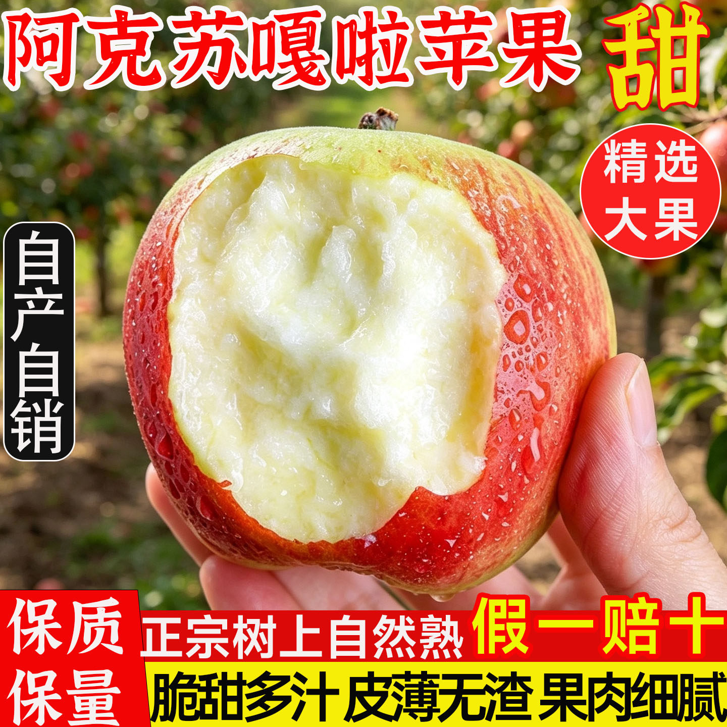 阿克苏嘎啦苹果新疆现摘早熟甜脆苹果新鲜水果 整箱新疆直发