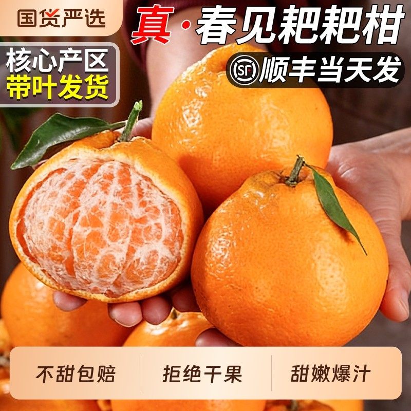 顺丰四川春见耙耙柑当季新鲜水果粑粑柑杷杷丑桔橘子大果整箱包邮,包装,水果包装,淘宝优惠券,粉丝福利购,淘宝优惠卷
