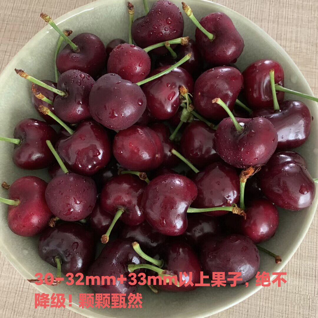 山西美早大樱桃车厘子知